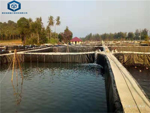 �Bֳ����Ĥ