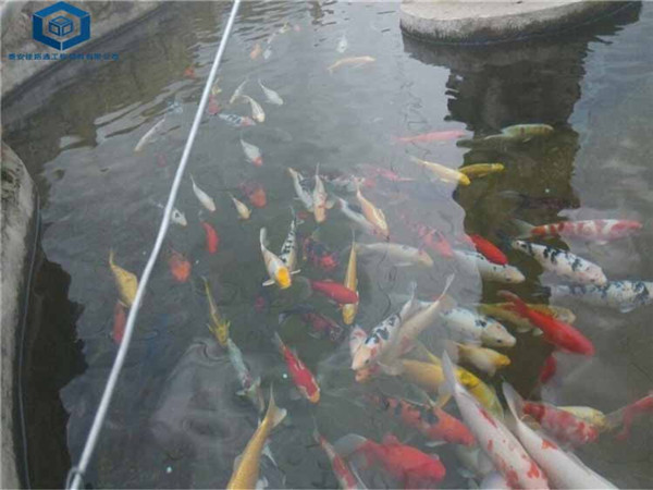 �~���Bֳ���BĤ