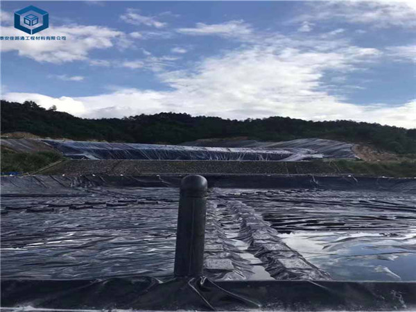 �����ط��BĤ