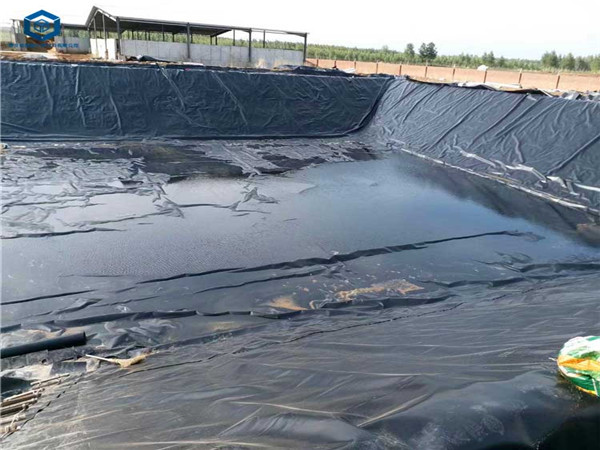 ��������O���