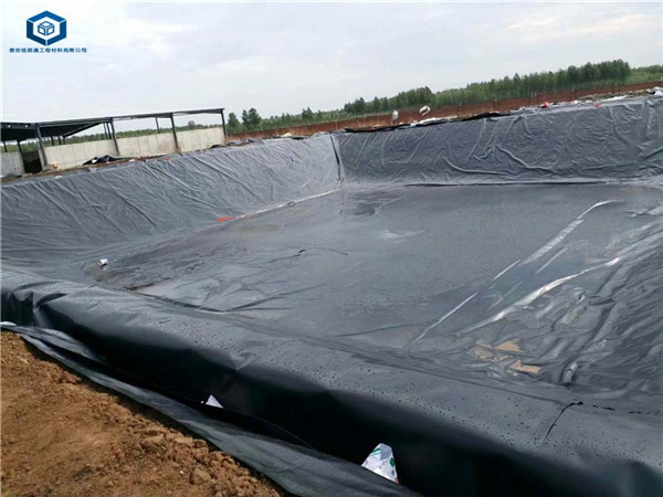 ��������O(sh��)