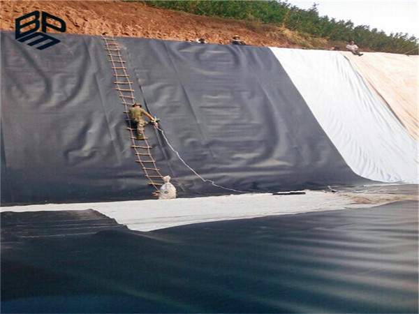 �F�Vβ�V���BĤ�����Ĵ��F�Vú��̎������