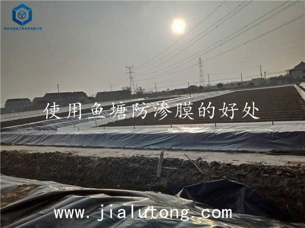 魚塘防滲膜 魚塘防滲膜