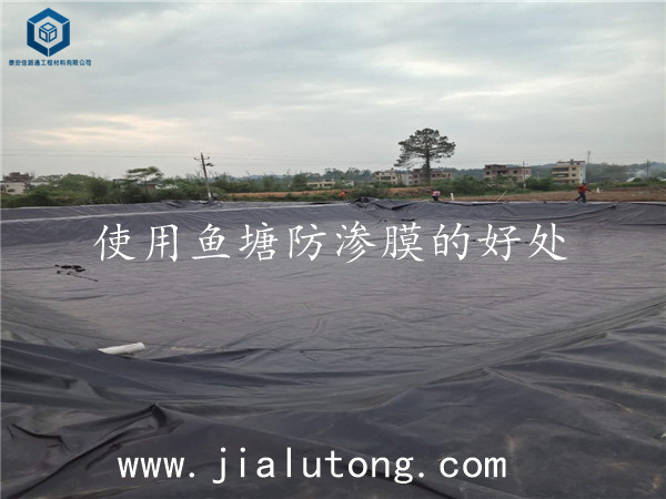 魚塘防滲膜廠家 魚塘防滲膜廠家